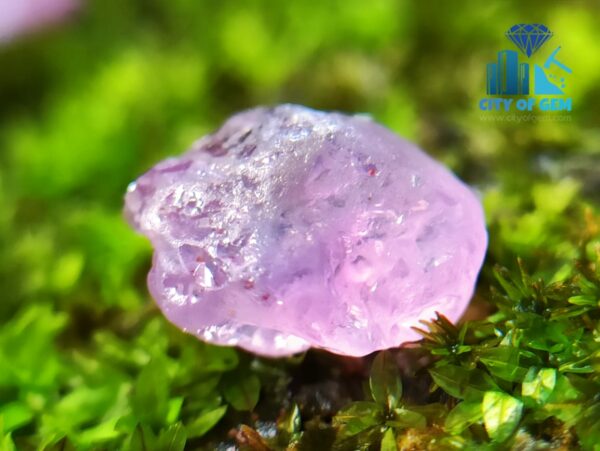 Facet Grade Rough Ceylon Natural Sapphire Collection - city of gem ratnapura