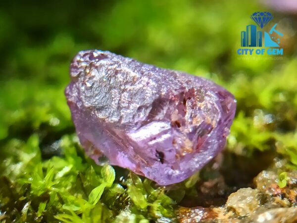 Facet Grade Rough Ceylon Natural Sapphire Collection - city of gem ratnapura