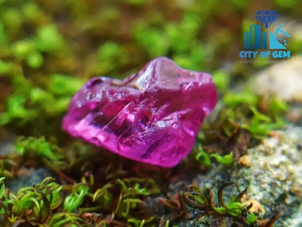 Ceylon Natural Rough Sapphire Mix Color Collection from City of Gem - city of gem ratnapura