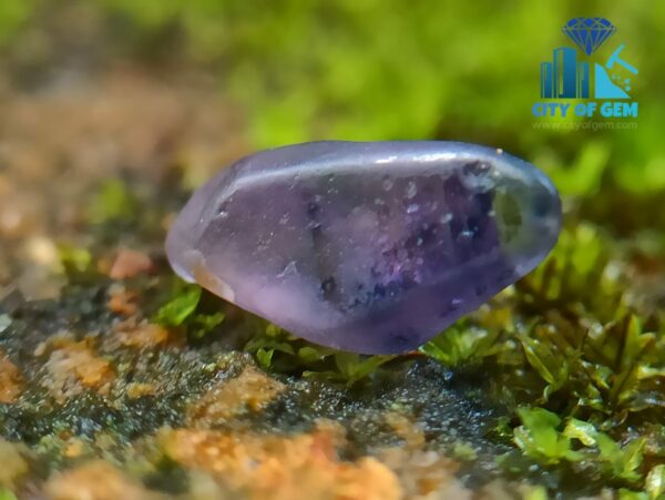 Facet Grade Rough Ceylon Natural Sapphire Collection - city of gem ratnapura