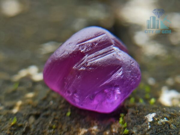 2_Ceylon Natural Facet Grade Pink and Blue Sapphire Rough Alluvial Gemstones Couple - city of gem ratnapura