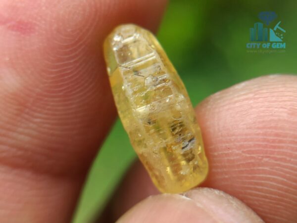 5_Ceylon Natural Yellow Sapphire Excellent Transparent Crystal Couple - city of gem ratnapura