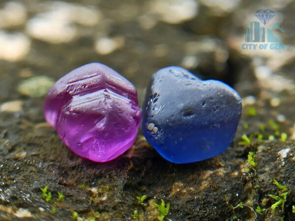 Rough gemstones, Yellow Sapphire, Yellow gemstones, Gemstone weight, Broken Crystal, Natural gemstones, Unheated gemstones, Gemstone dimensions, VVS clarity, Natural Corundum, Facet Grade Rough, Sri Lanka gemstones, Ceylon gemstones, Kolonna Tunnel Mining, Gem Quality, Commercial Grade Stones, Gemstone collection, High-quality gemstones, Precious gemstones, Unique gemstones, Valuable gemstones, Gemstone clarity, Gemstone value, Gemstone origin, Sri Lankan gems, Ethical gemstone sourcing, Transparent gemstone origins, Genuine gemstone treasures, Gemstone expertise, Investment-worthy gemstone types, Expert gemstone appraisals, Precious stone investment, Premium gemstone collections, Gemstone trade insights, Rare gemstones, Broken Crystal shape, Natural Yellow Sapphire, Unique gemstone colors, Ethical gemstone origins practices, Genuine gemstone authenticity guidelines, Ceylon gemstone history overview, Expert gemstone appraisal methods, Quality gemstone dealer, Gemstone appraisal services, Fine gemstone quality, Collector's gemstone treasures, Gemstone investment potential, Gemstone transparency, Gemstone authenticity, Gemstone diversity, Gemstone education resources, Ceylon sapphire authenticity insights, Unique gemstone shapes guidebook, Gemstone rarity, Transparent gemstone trade, Investment-grade gemstone advice, Quality gemstone grading standards, Gemstone variety catalog insights, Ethical gemstone sourcing, Loupe clean clarity, Authentic gemstone transparency, Investment-grade gemstone potential, Ceylon gemstone heritage preservation, Gemstone value guidebook, Transparent gemstone trade practices, Gemstone quality grading standards, Wholesale gemstone sources directory insights, Exceptional gemstone rarity catalog overview, Gemstone investment trends report, Unheated gemstone collection insights, Ethical gemstone origins practices, Genuine gemstone authenticity guidelines, Expert gemstone appraisal methods, Natural Corundum gemstones, Quality gemstone dealer services, Gemstone appraisal insights, Collector's gemstone treasures insights, Gemstone investment potential and more. 12_Ceylon Natural Facet Grade Pink and Blue Sapphire Rough Alluvial Gemstones Couple - city of gem ratnapura