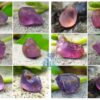 14_Facet Grade Ceylon Natural Sapphire Rough Stones - Pink to Purple Color Range - city of gem ratnapura