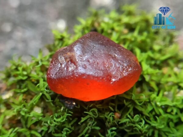 4_Facet Grade Natural Multicolour Rough Gemstones Collection - city of gem ratnapura