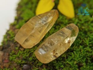 5_Ceylon Natural Yellow Sapphire Excellent Transparent Crystal Couple - city of gem ratnapura