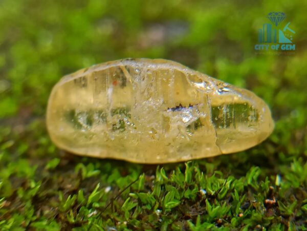 5_Ceylon Natural Yellow Sapphire Excellent Transparent Crystal Couple - city of gem ratnapura