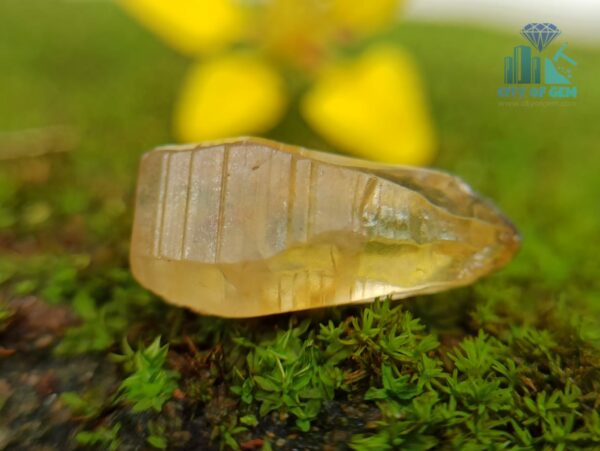 5_Ceylon Natural Yellow Sapphire Excellent Transparent Crystal Couple - city of gem ratnapura
