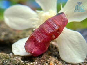 3_Natural Ruby Crystal from Kolonna Mining, Sri Lanka - Corundum Crystal - city of gem ratnapura