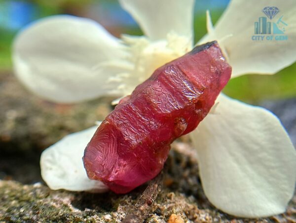 3_Natural Ruby Crystal from Kolonna Mining, Sri Lanka - Corundum Crystal - city of gem ratnapura
