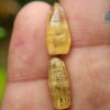 5_Ceylon Natural Yellow Sapphire Excellent Transparent Crystal Couple - city of gem ratnapura