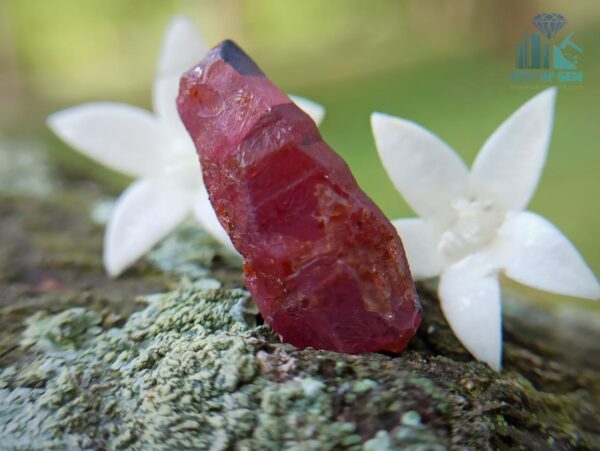 3_Natural Ruby Crystal from Kolonna Mining, Sri Lanka - Corundum Crystal - city of gem ratnapura