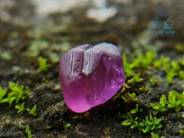 2_Ceylon Natural Facet Grade Pink and Blue Sapphire Rough Alluvial Gemstones Couple - city of gem ratnapura