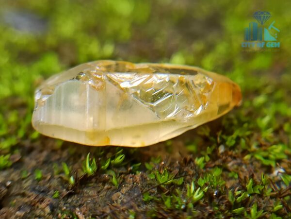 5_Ceylon Natural Yellow Sapphire Excellent Transparent Crystal Couple - city of gem ratnapura