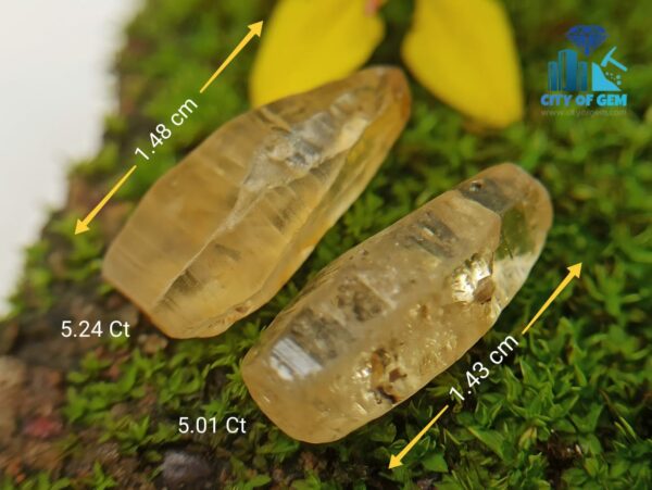 5_Ceylon Natural Yellow Sapphire Excellent Transparent Crystal Couple - city of gem ratnapura