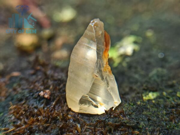 2_Ceylon Natural Yellow Sapphire from Kolonna Mining Sri Lanka - Kolonna Sapphire - city of gem ratnapura