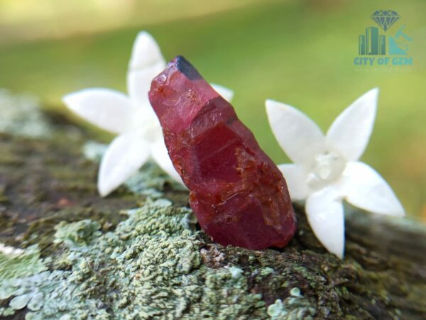 7_Natural Ruby Crystal from Kolonna Mining, Sri Lanka - Corundum Crystal - city of gem ratnapura