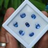 7_Ceylon Natural Blue Sapphire Faceted Gemstones Collection 1-2 Ct Range - city of gem ratnapura
