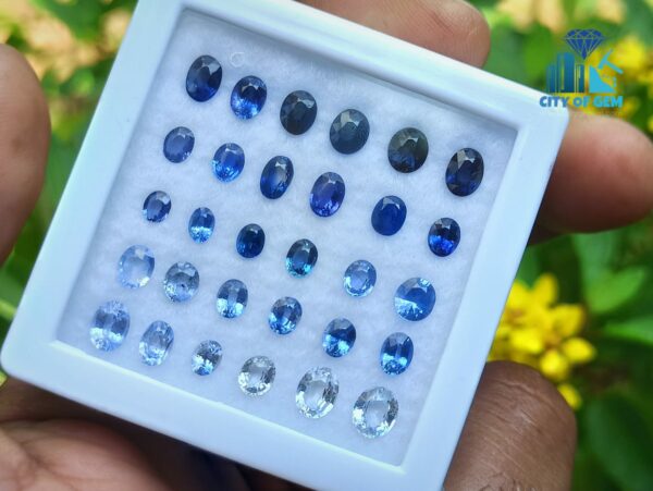 8_Oval Shape Blue Sapphire Faceted Gemstones Collection - city of gem ratnapura