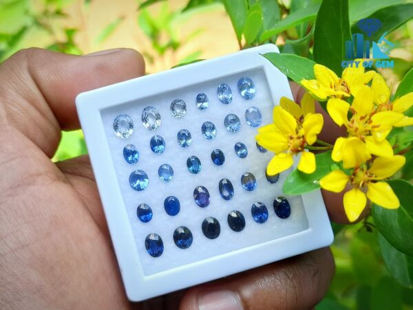 9_Oval Shape Blue Sapphire Faceted Gemstones Collection - city of gem ratnapura