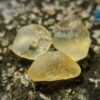 3_Facet Grade High Quality Natural Yellow Sapphires Rough - city of gem ratnapura