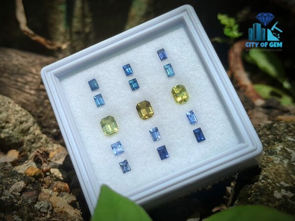 2_Faceted Blue Sapphire & Chrysoberyl Gemstones Set - city of gem ratnapura