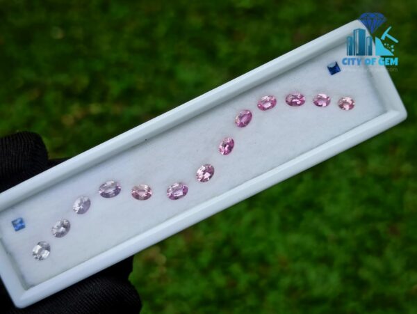 1_Ceylon Pink Sapphire with Blue Sapphire Faceted Gemstones Collection - city of gem