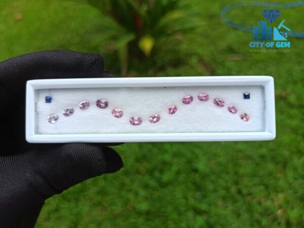 1_Ceylon Pink Sapphire with Blue Sapphire Faceted Gemstones Collection - city of gem
