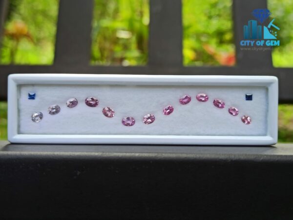 1_Ceylon Pink Sapphire with Blue Sapphire Faceted Gemstones Collection - city of gem