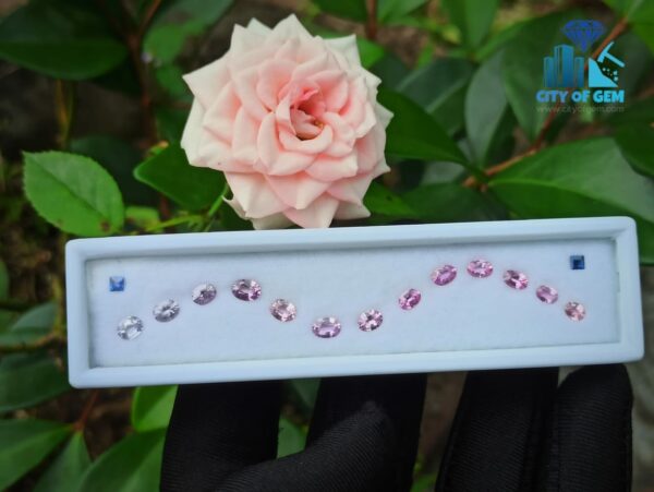 1_Ceylon Pink Sapphire with Blue Sapphire Faceted Gemstones Collection - city of gem