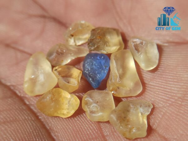 3_Facet Grade Ceylon Natural Yellow Sapphire Collection with Blue Sapphire - City of gem ratnapura