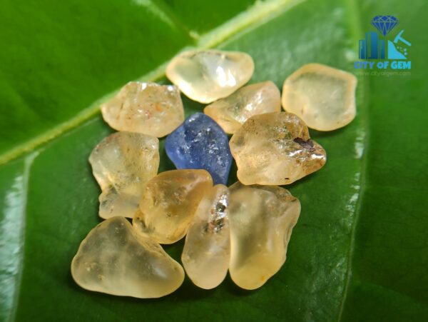 3_Facet Grade Ceylon Natural Yellow Sapphire Collection with Blue Sapphire - City of gem ratnapura