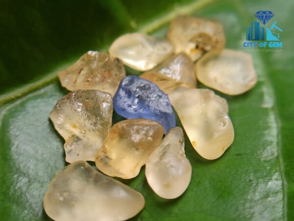 3_Facet Grade Ceylon Natural Yellow Sapphire Collection with Blue Sapphire - City of gem ratnapura