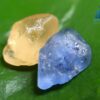3_Facet Grade Ceylon Natural Yellow Sapphire Collection with Blue Sapphire - City of gem ratnapura