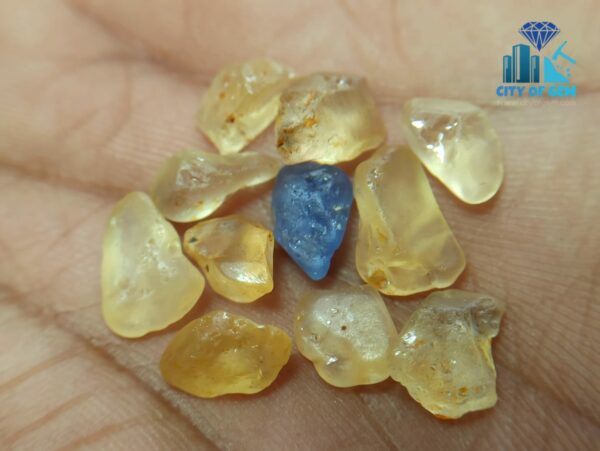 3_Facet Grade Ceylon Natural Yellow Sapphire Collection with Blue Sapphire - City of gem ratnapura