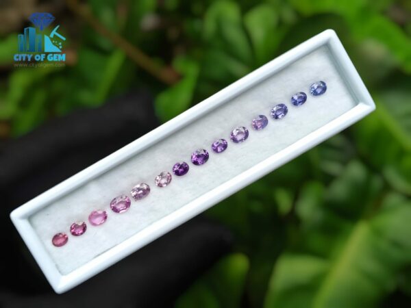 Natural Ceylon Sapphire Faceted Oval Shape Collection
