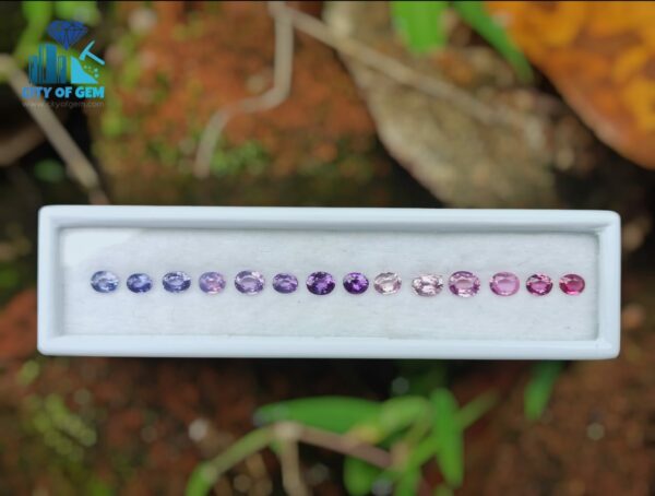 Natural Ceylon Sapphire Faceted Oval Shape Collection