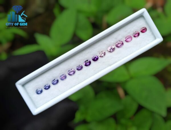 Natural Ceylon Sapphire Faceted Oval Shape Collection