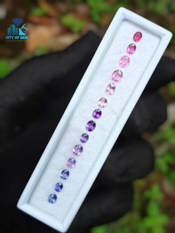 Natural Ceylon Sapphire Faceted Oval Shape Collection