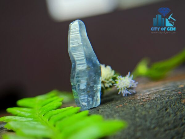 2_Ceylon Natural sapphire Crystal Couple city pf gem blue sapphire and white sapphire with blue color band