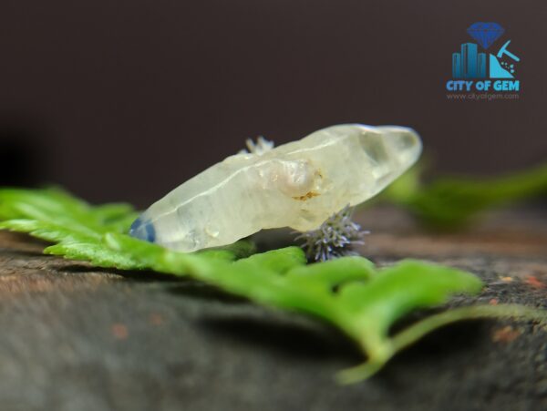 2_Ceylon Natural sapphire Crystal Couple city pf gem blue sapphire and white sapphire with blue color band