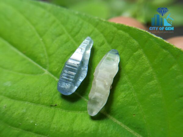 2_Ceylon Natural sapphire Crystal Couple city pf gem blue sapphire and white sapphire with blue color band