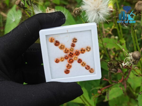 Natural Orange Garnet & Zircon Faceted Round Shape Collection