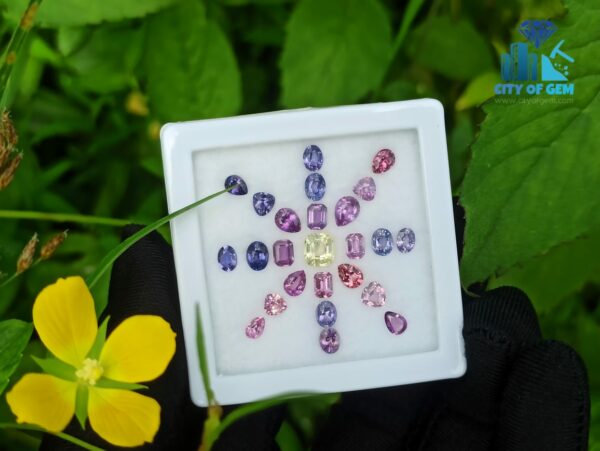 Ceylon Natural Sapphire Faceted Stone Collection