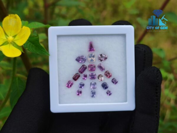 Ceylon Natural Sapphire Faceted Stone Collection