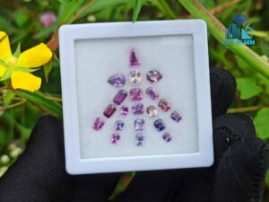 Ceylon Natural Sapphire Faceted Stone Collection