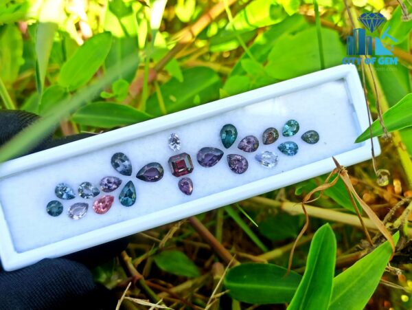 Natural Spinel Faceted Stones Collection From City Of Gem Collection