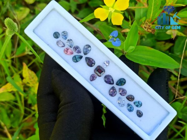Natural Spinel Faceted Stones Collection From City Of Gem Collection