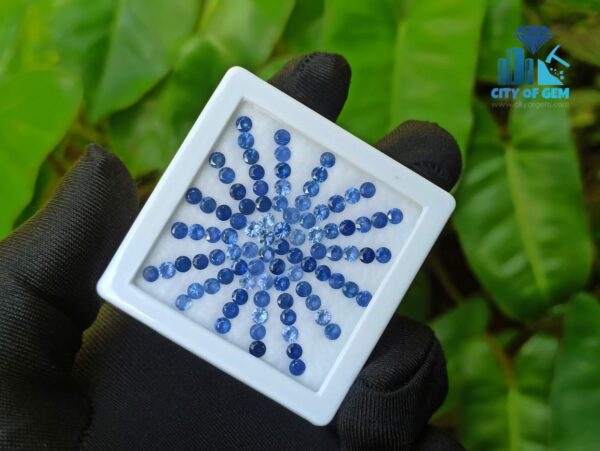 Blue Sapphire Calibrated Round Collection