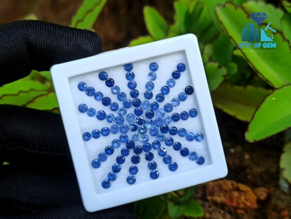Blue Sapphire Calibrated Round Collection
